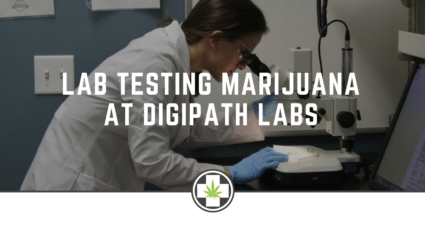 Lab Testing Marijuana at DigiPath Labs