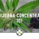 Marijuana Concentrates 101