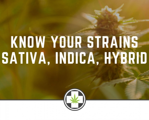 Know Your Strains Sativa, Indica, Hybrid