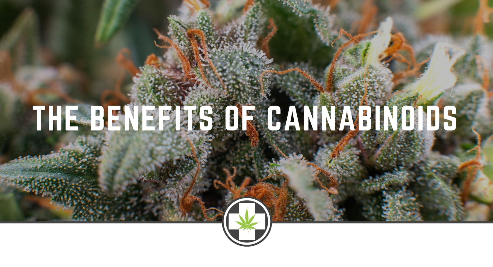 The Benefits Of Cannabinoids