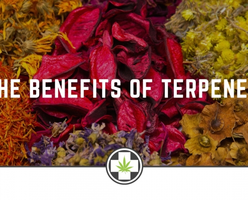 The Benefits Of Terpenes