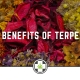 The Benefits Of Terpenes
