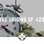 The Origins Of 420