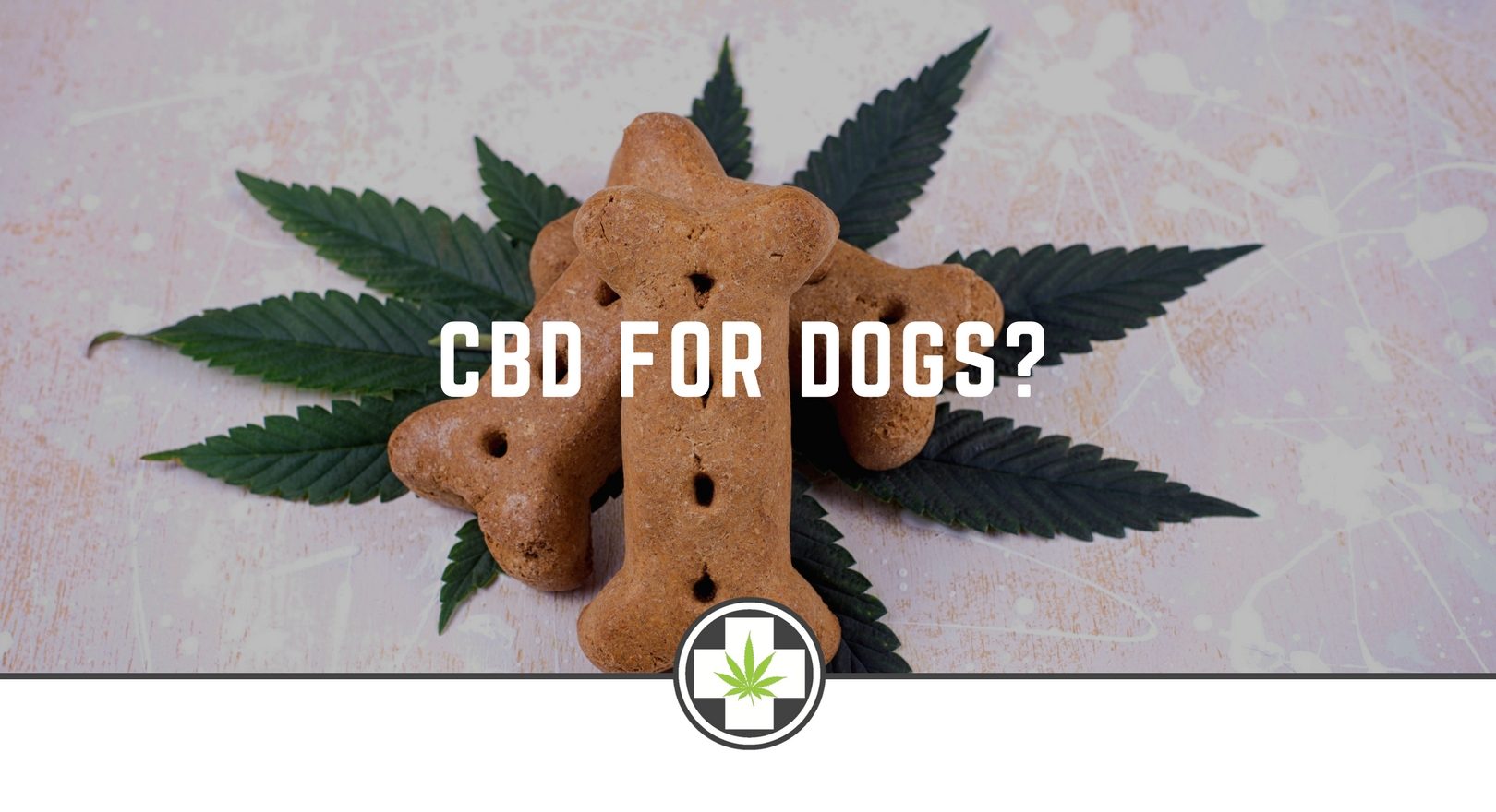 CBD For Dogs