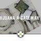 Is Marijuana A Gateway Drug