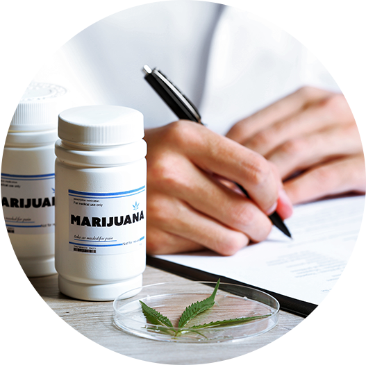 Schedule Your Florida Marijuana Doctor Appointment