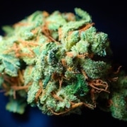 medical marijuana uses